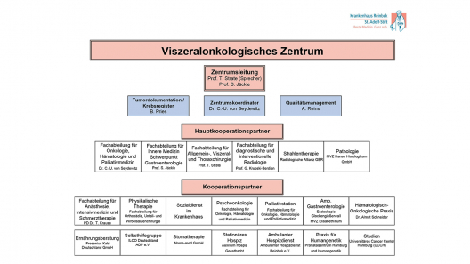 Organigramm Krankenhaus Beispiel